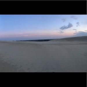 Meet your Posher, Delaney